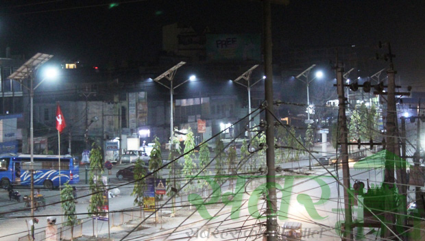 Solar Lights 1 copy